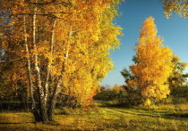 По данным синоптиков, в ближайшее воскресенье в Забайкальском крае ожидается повышение дневных температур