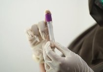 В ближайшие две недели учреждения здравоохранения ДНР получат большую партию тест-систем для определения коронавирусной инфекции