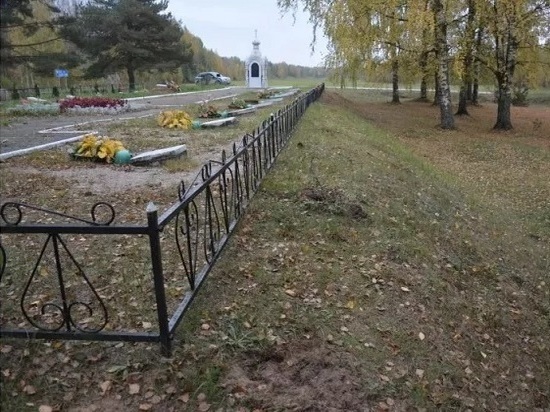33 туи украли с воинского мемориала в Псковском районе