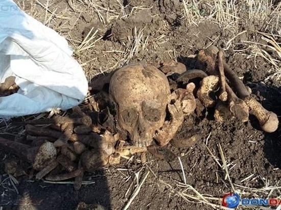 На Дону найдены останки солдата Великой Отечественной войны