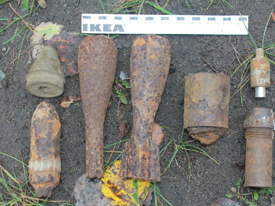 Взрывотехники брянского ОМОН обследовали и уничтожили найденные боеприпасы времен войны
