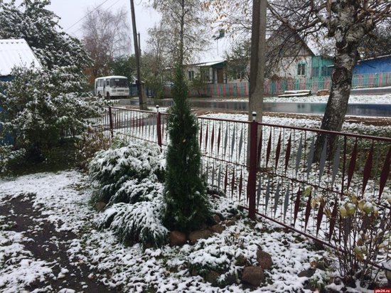 Первый снег выпал в Псковской области