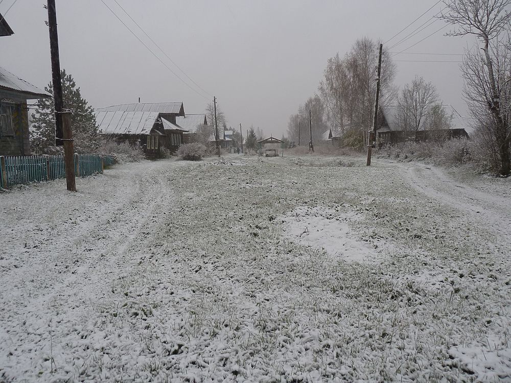 В октябре в Тверской области выпал первый снег: кадры со всей области