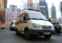Жуткий переполох случился в пятницу утром в одном из детских садов на северо-востоке Москвы