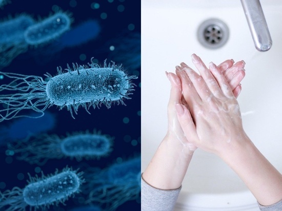 Ученые рассказали, смогут ли бактерии выжить на куске мыла