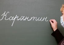 Полностью закрыты из-за случаев заболеваемости COVID-19 17 школ в Забайкальском крае, в 62 введены частичные ограничения