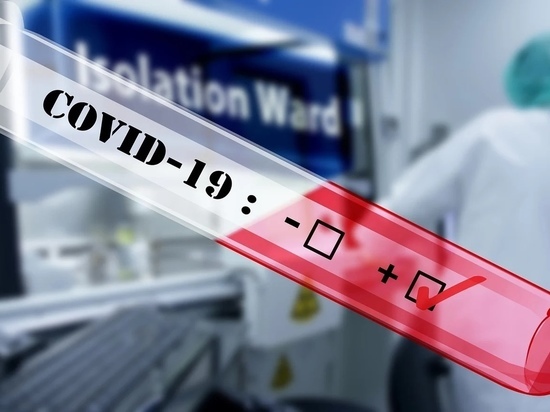 Сколько платят добровольцам за испытания вакцины от COVID-19 рассказали в новосибирском «Векторе»