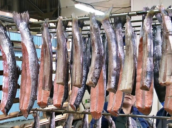 В Пуровском районе предприятия заготовили почти тысячу тонн рыбы