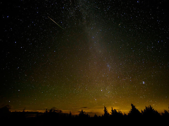 Это может случиться перед выборами президента США