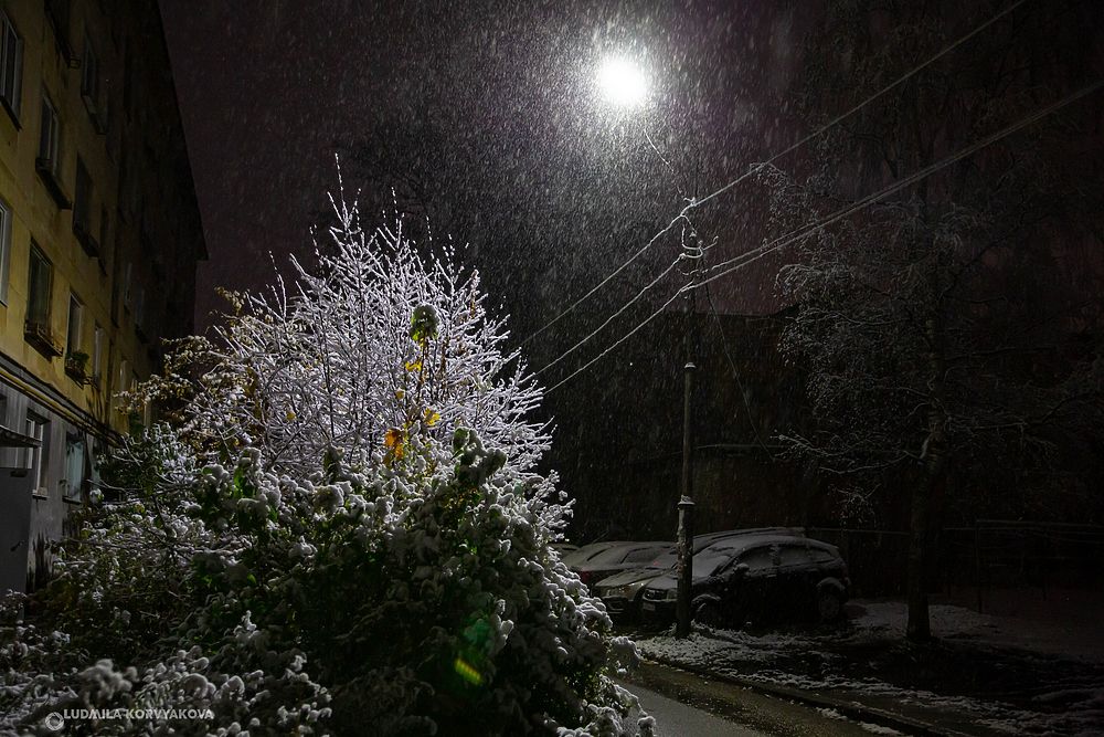 25 удивительных снимков Петрозаводска в первый снег