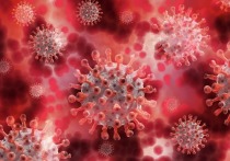 Пока ученые в разных странах пытаются найти лекарство от коронавируса, четырнадцатилетняя девочка из Техаса выиграла приз размером в 25 тысяч долларов за открытие, которое может обеспечить потенциальную терапию COVID-19