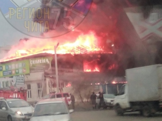 Два десятка пожарных расчетов тушат крупный пожар на Острове в Чите