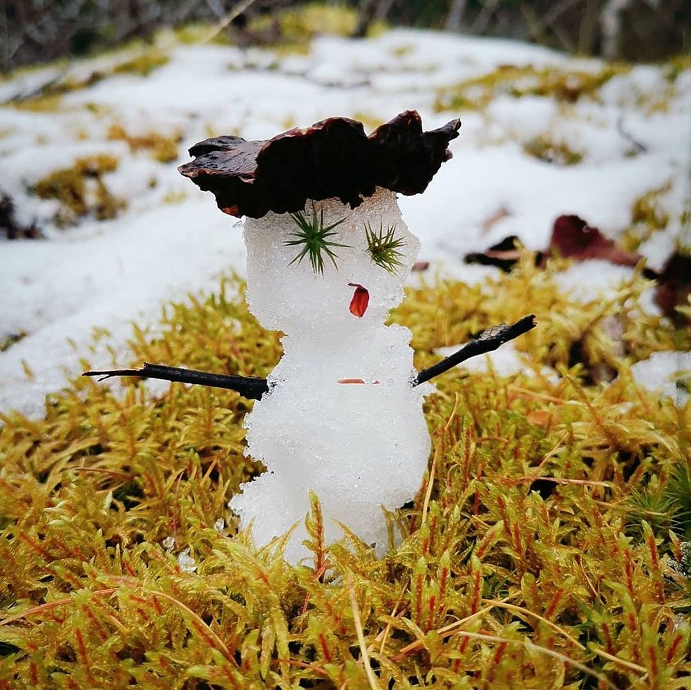 «Нашествие» снеговиков в Новом Уренгое: фоторепортаж