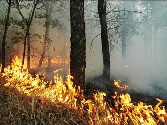 В Районе очистных сооружений Оренбурга горела сухая трава