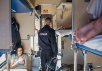 В Забайкалье возбуждено уголовное дело в отношении 34-летнего мужчины, который в сентябре напал на полицейского в поезде