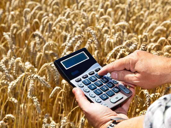 В 2020 году смоленским аграриям будет выделено в общей сложности более 854 миллионов рублей