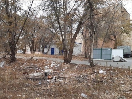 Оренбуржцы возмущены разбросанным мусором на Карагандинской