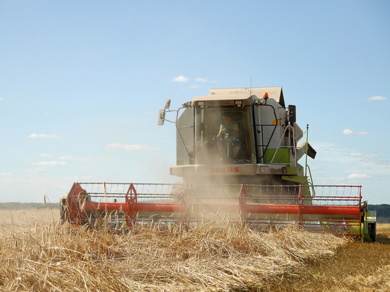 В Кировской области собрали рекордный урожай зерна
