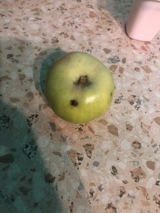 Школьникам в Карелии на бесплатные завтраки выдали гнилые яблоки