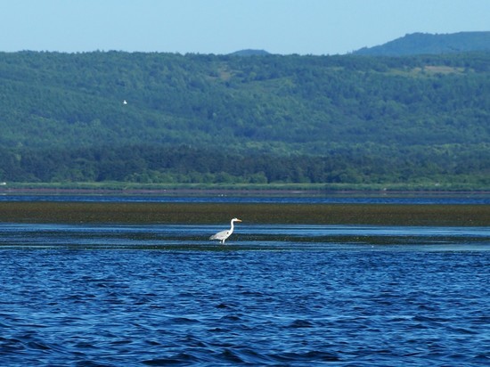 Сахалинское озеро Буссе стало четвертым в конкурсе по экотуризму