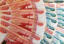 Дополнительные средства на ежемесячные выплаты многодетным семьям выделена Забайкальскому краю