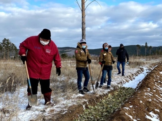 В Бурятии заложен первый в России лес по пермакультурной технологии