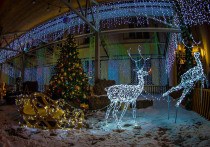 В столице Южного Урала определились с местами размещения новогодней иллюминации