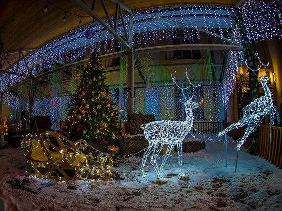 В Челябинске определились с местами размещения новогодней иллюминации