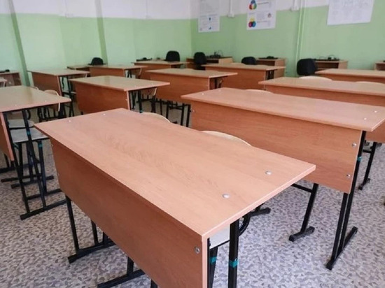 Минобрнауки не исключает переход на удаленку алтайских школ во второй четверти