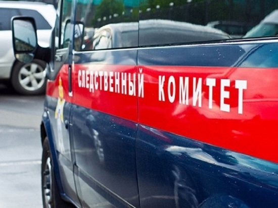 СУ СК: в станице Старовеличковской мужчину до смерти избили из-за портативной колонки