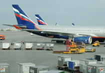 Трое сотрудников «Аэрофлота» задержаны в аэропорту «Шереметьево» за контрабанду наркотиков