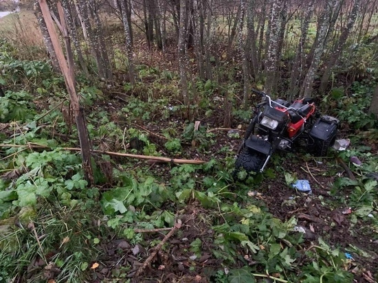 В Тверской области опрокинулся трицикл – водитель в тяжелом состоянии
