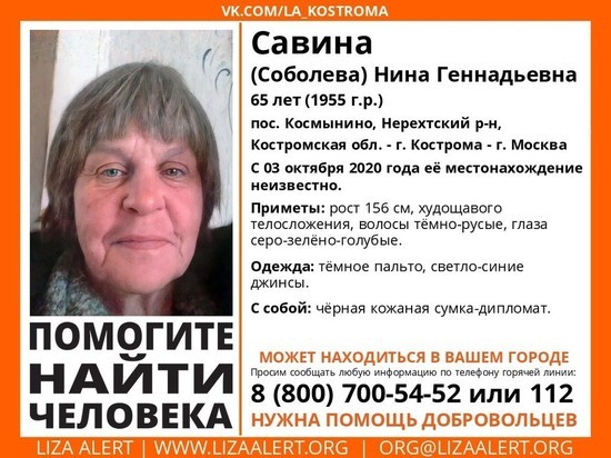 Костромичей просят помощи в поисках пенсионерки, пропавшей три недели назад