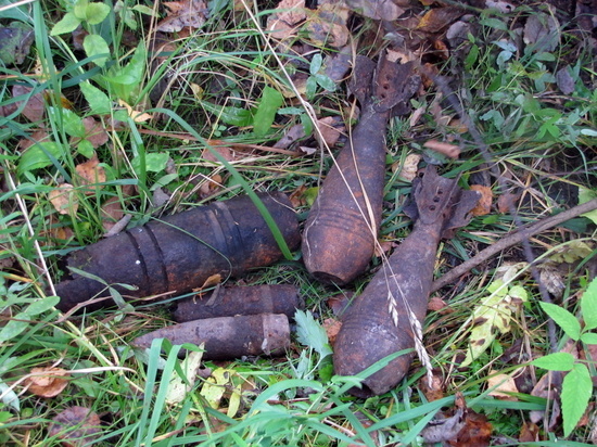 12 снарядов и мину обезвредили на Смоленщине 22 октября
