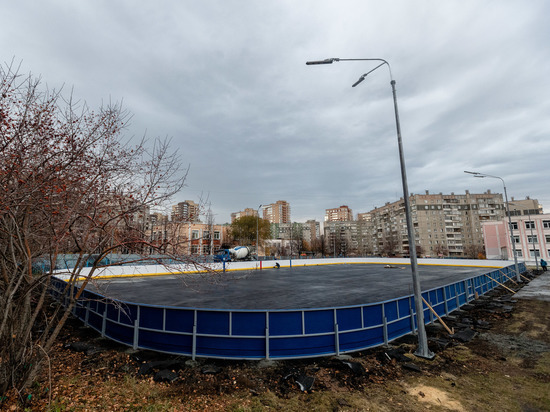 В Челябинской области активно развивают дворовый хоккей