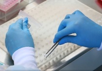 Специалисты лабораторий в Забайкалье не успевают обрабатывать пробы на коронавирусную инфекцию, задержка результатов в некоторых районах достигает 10 дней