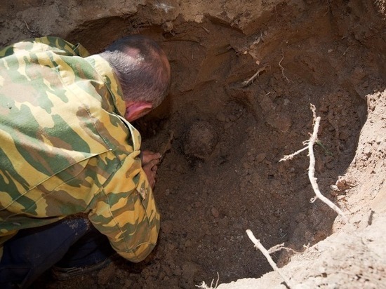 Останки солдат-костромичей найдены под Выборгом в братской могиле времен Зимней войны 1939-1940 г.