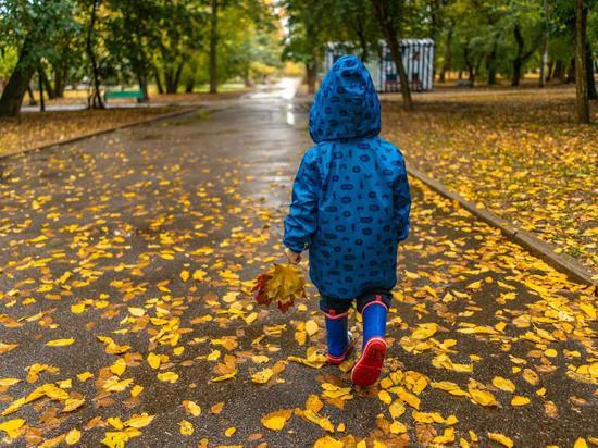 В выходные в Марий Эл потеплеет и пройдут дожди