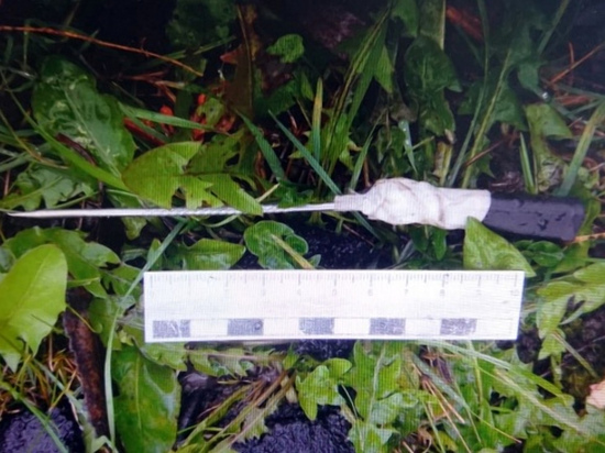 В Гагарине разбойник с самодельным ножом завладел чужим сотовым телефонном