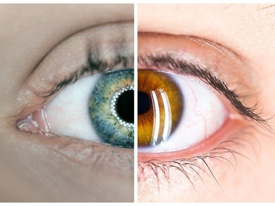Ученые нашли связь между цветом глаз и склонностью к алкоголизму