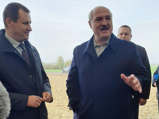Белорусский президент поделился своим «экспертным» мнением о COVID-19