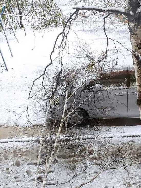 Из-за налипшего снега в Хабаровске деревья падают на машины