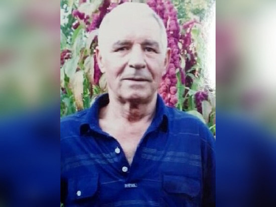 Пропавшего 83-летнего пенсионера ищут в Ростовской области