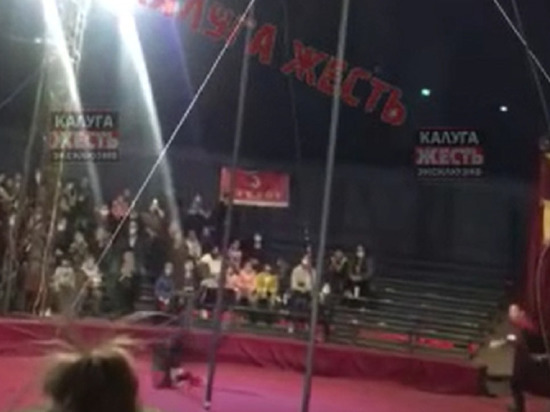 В Калуге во время номера в цирке с высоты упал акробат