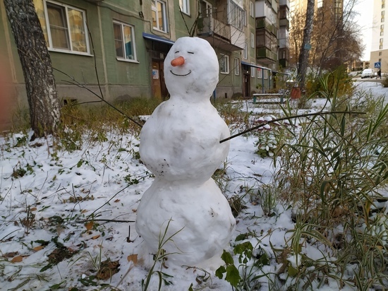 Мокрый снег и гололедица: погода в Новосибирске 26 октября