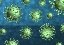 В Забайкалье увеличилось количество «тяжелых» пациентов, заражённых коронавирусной инфекцией, сейчас их 121