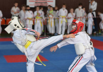 25 октября в СК «Кировец» в Донецке прошли соревнования по косики каратэ