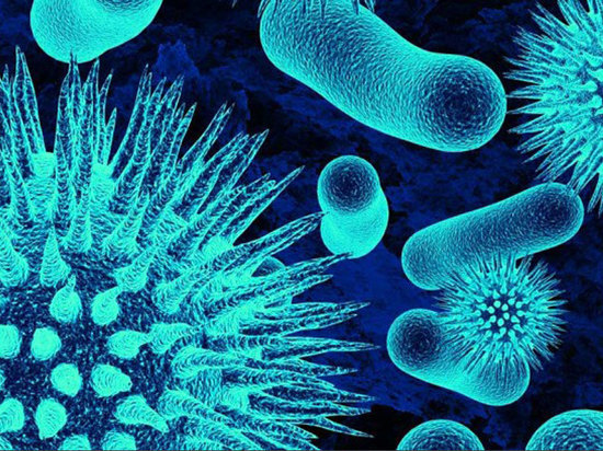 Новый рекорд: 131 человек заболел коронавирусом на Кубани