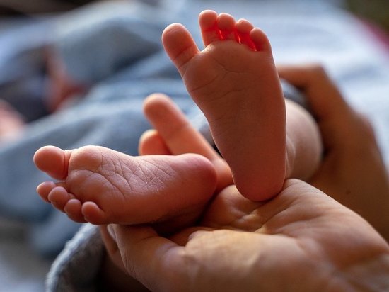 За неделю в ДНР появились на свет 155 малышей
