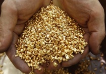 Житель Дульдургинского района заплатит штраф в 1,2 млн рублей за незаконную добычу золота в Читинском районе